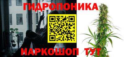 PSILOCYBIN Тулун
