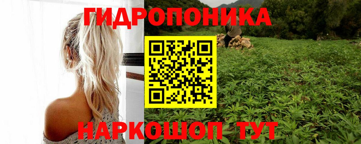 Бошки Шишки гибрид  Вход с VPN  Белорецк  Шишки марихуана сатива  Бошки Шишки семена 